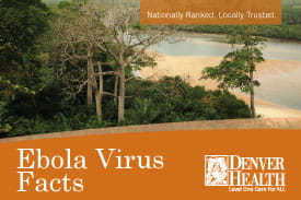 Ebola Virus Facts Image/Thumbnail