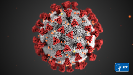 CDC image of a Coronavirus