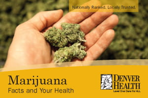 Marijuana and Your Health Thumbnail Image